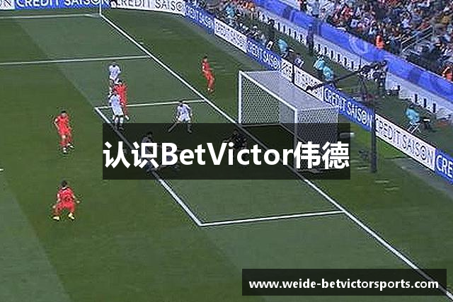 认识BetVictor伟德